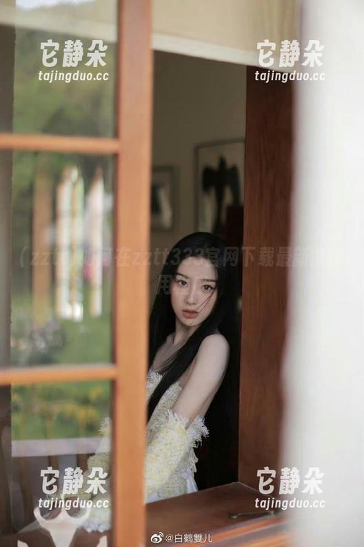 如何在zztt333官网下载最新版应用程序