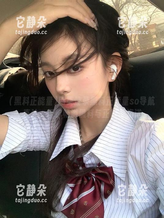 网页登录黑料正能量so导航直达，带你畅游黑料与正能量海洋