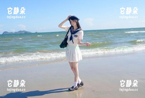 黑料网不打烊安卓专版，24小时不间断吃瓜体验